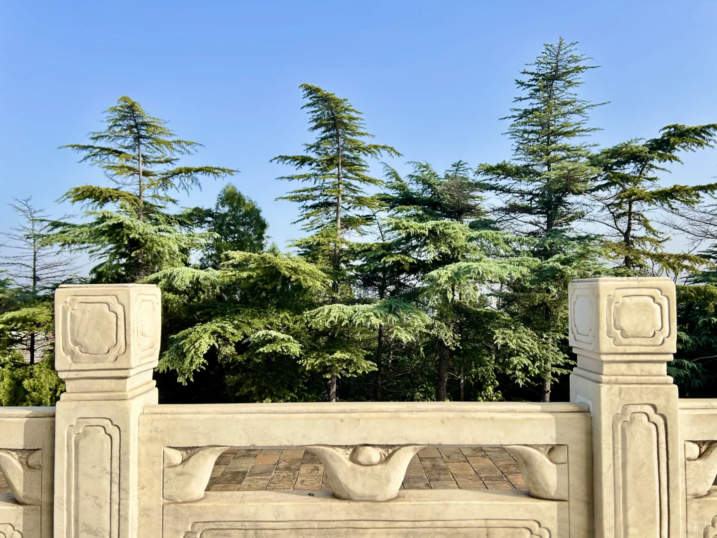 秋季再访免费元宝山～