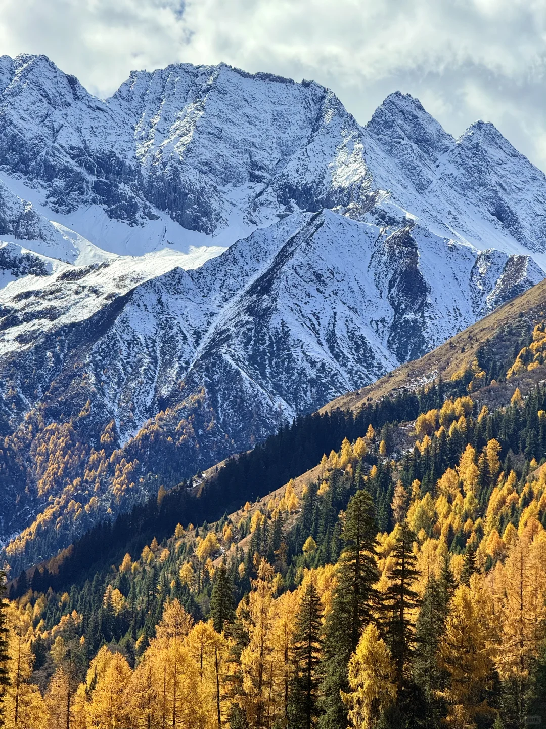 最近的四姑娘山简直是人间理想！！人生live🍁