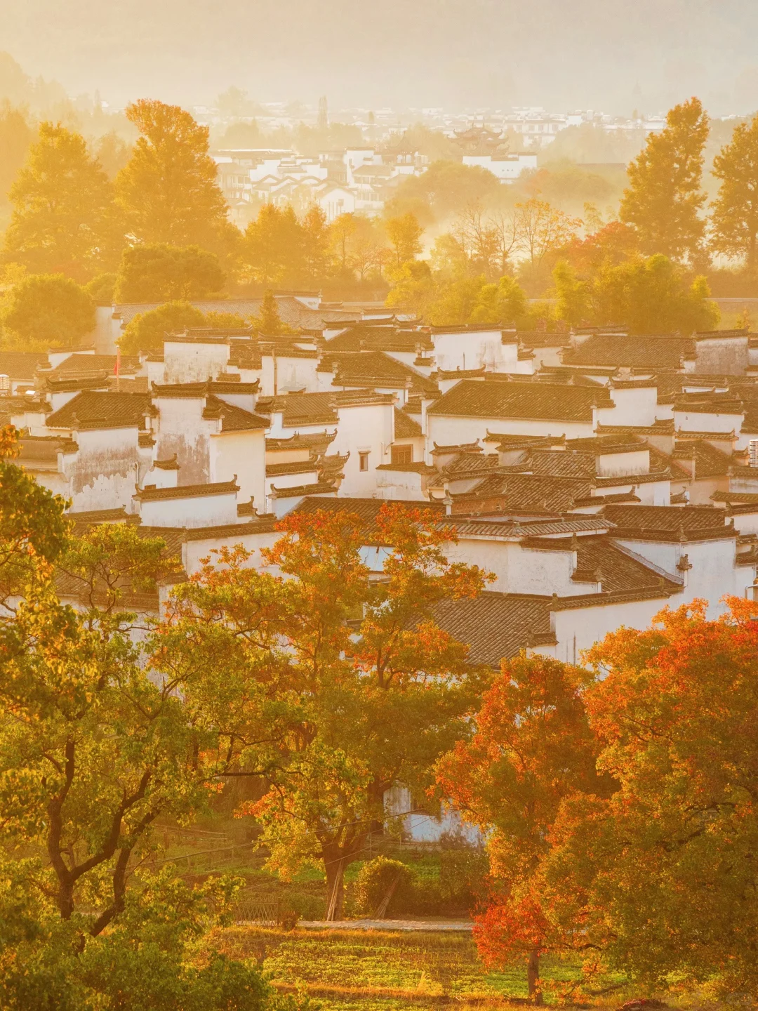 塔川实拍🍁皖南秋天可以冲啦‼️附拍照攻略