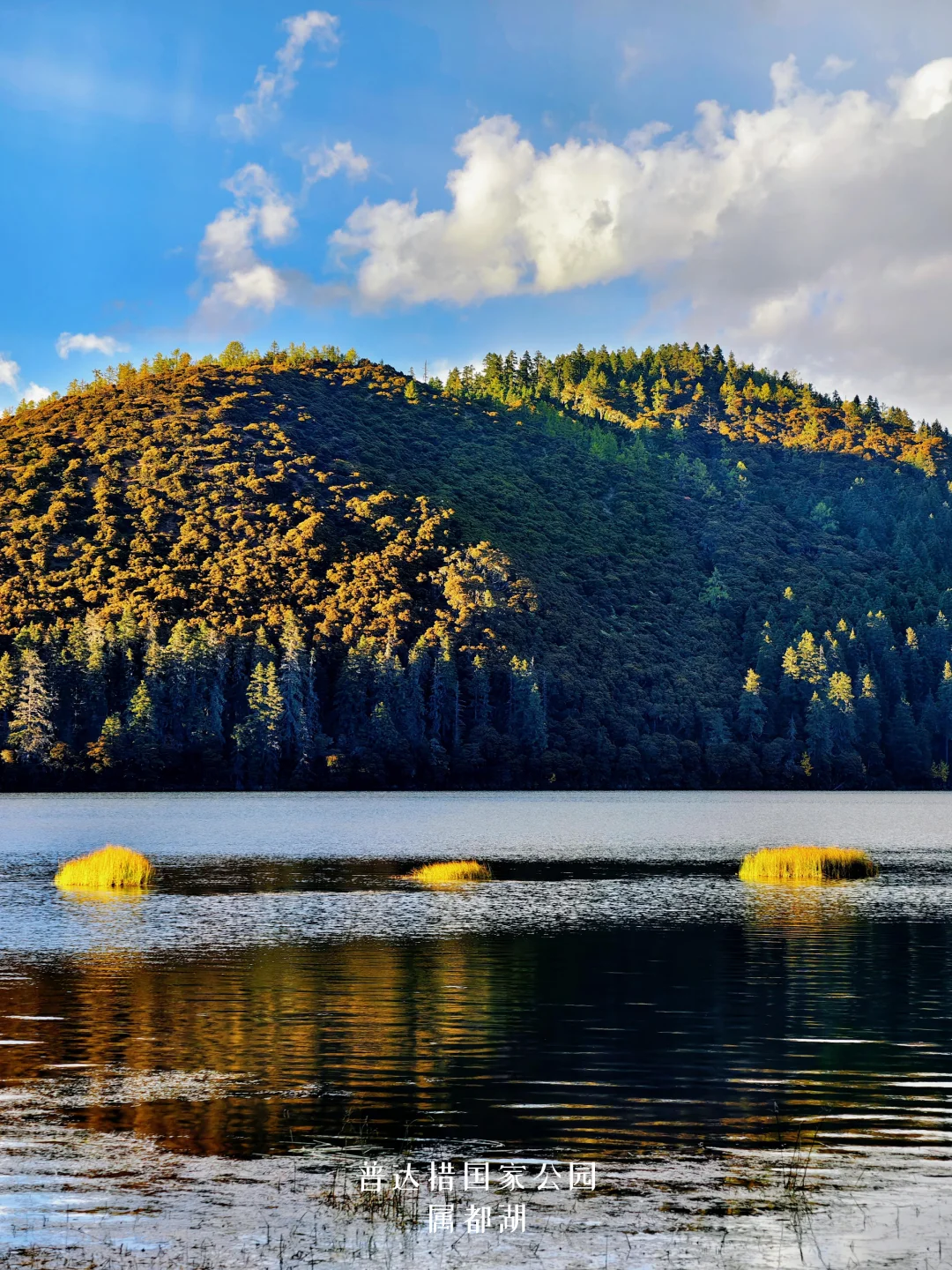 香格里拉限定|探秘普达措