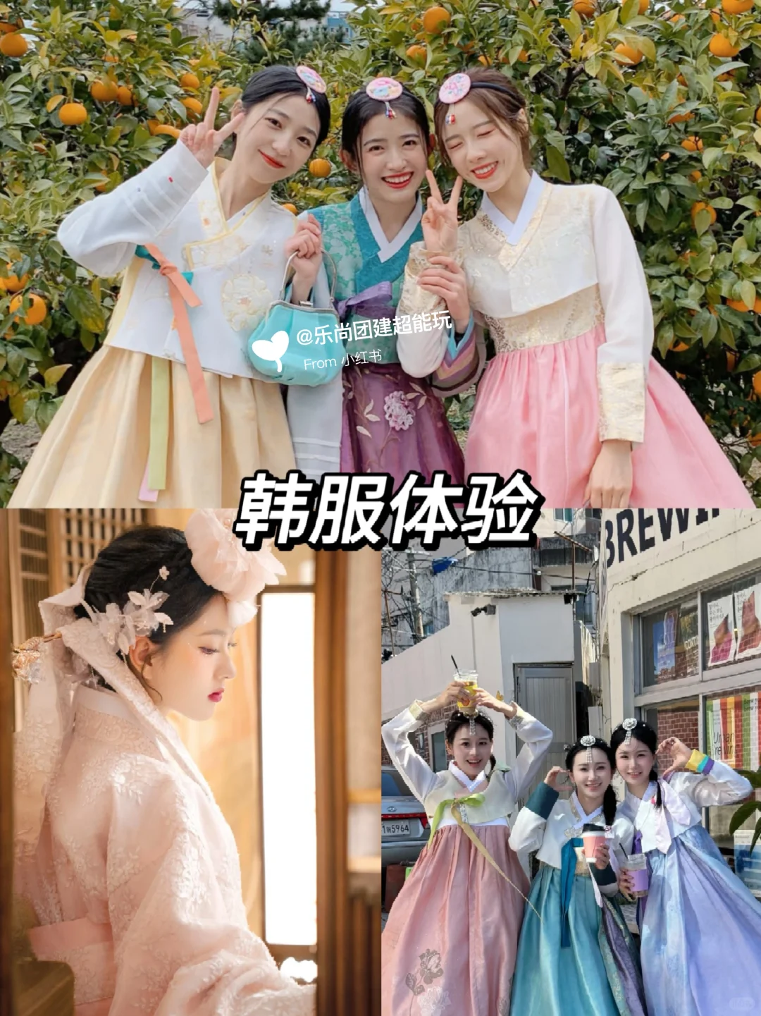 给腾讯做的济州岛团建旅游，被夸爆了❗