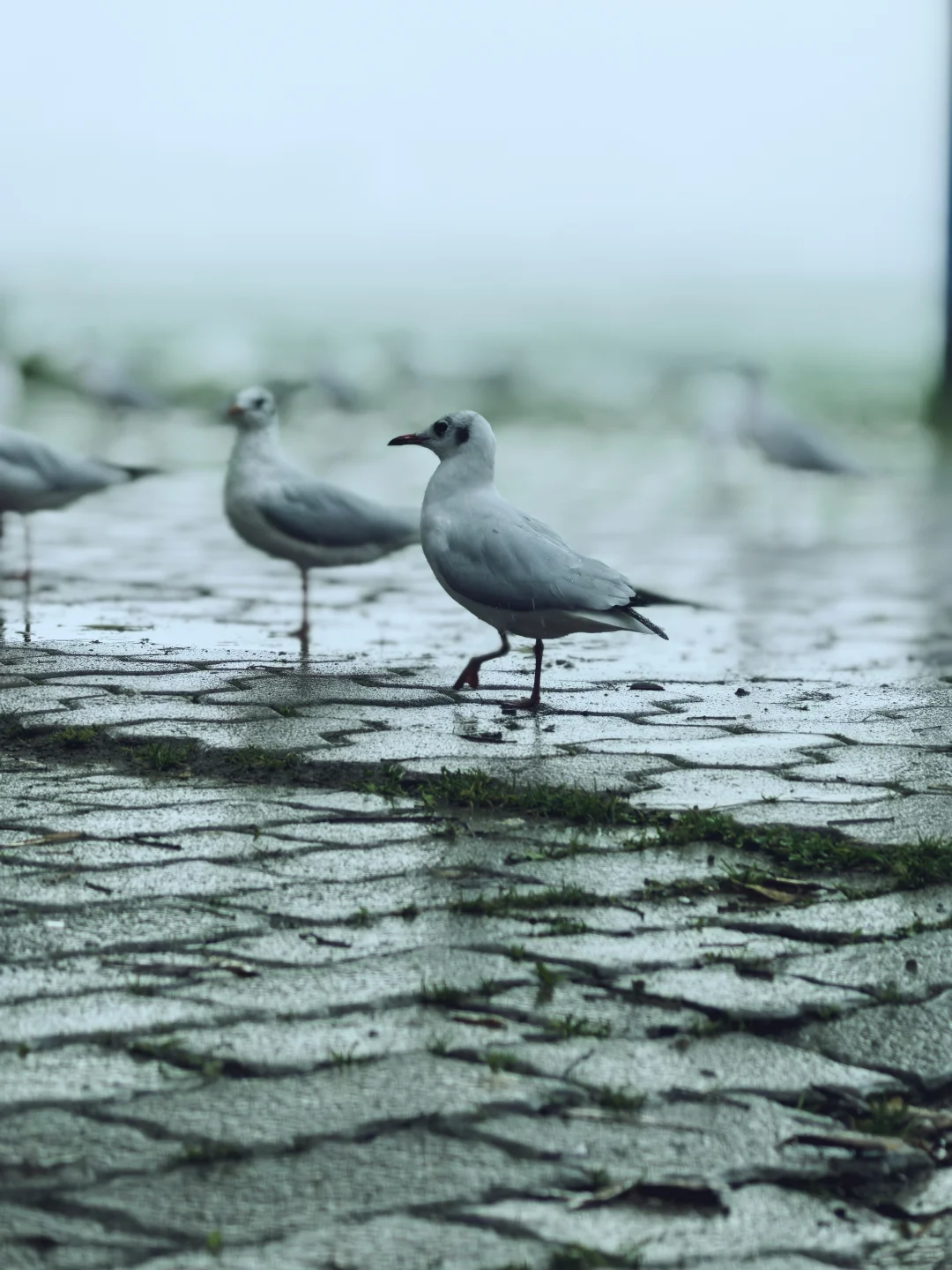 我知我喜乐，纵情跋涉”✈️