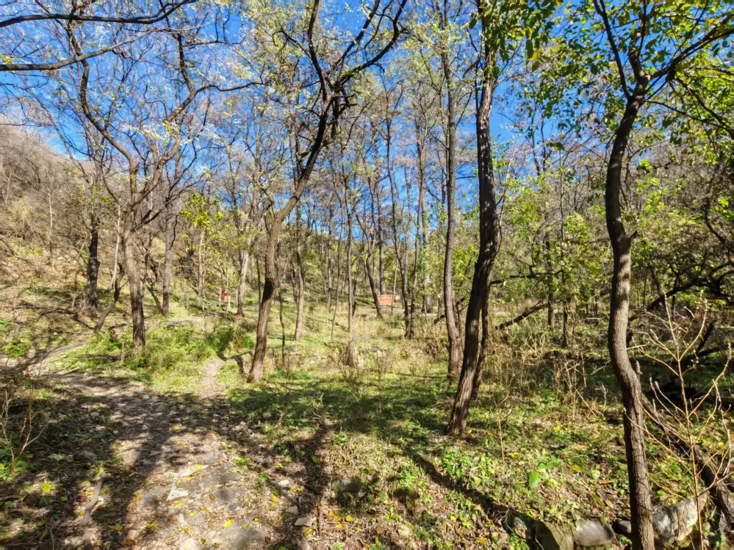 每周一山-秋山风景区
