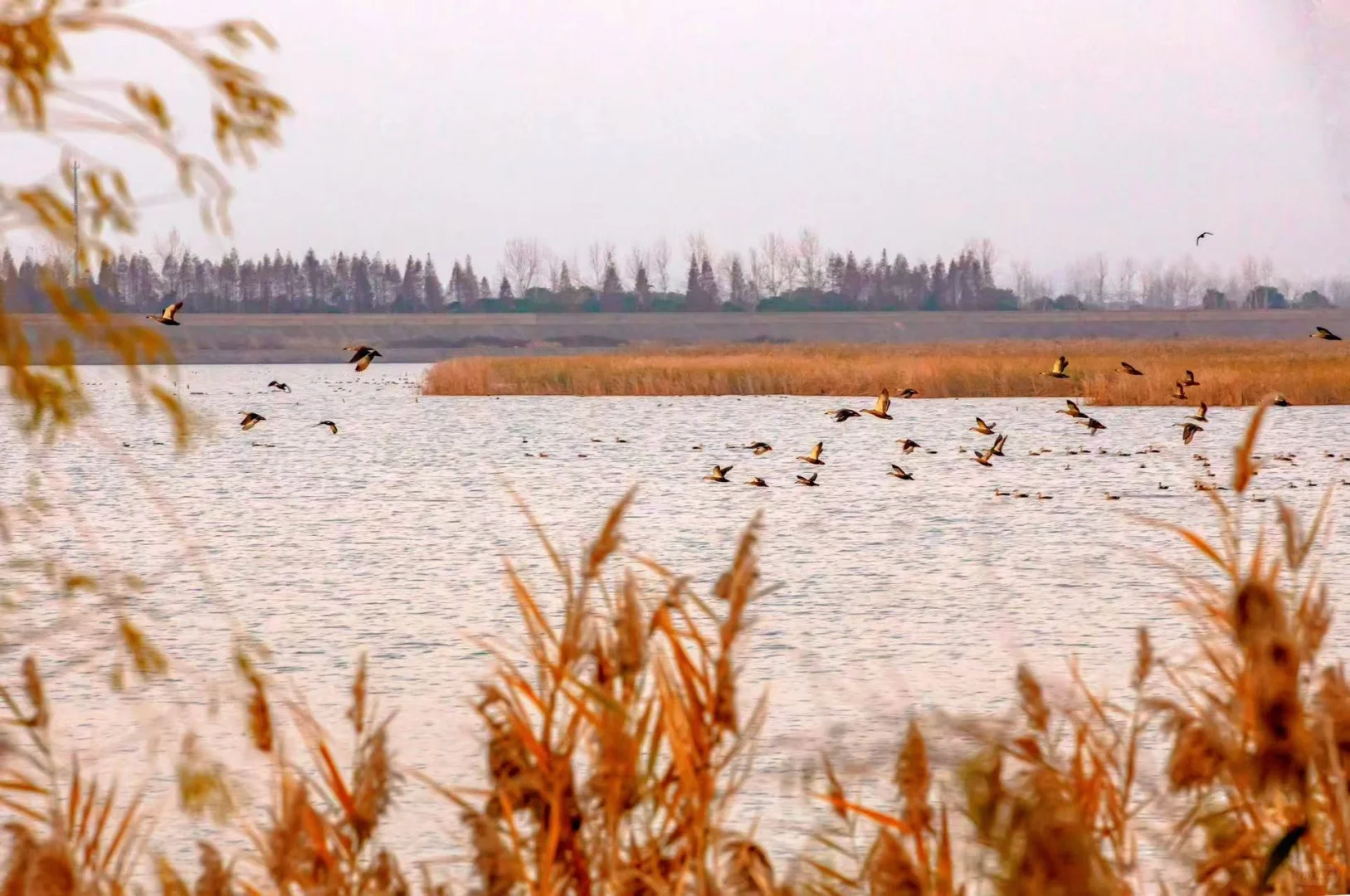 超酷玩法！钱塘工业旅游攻略