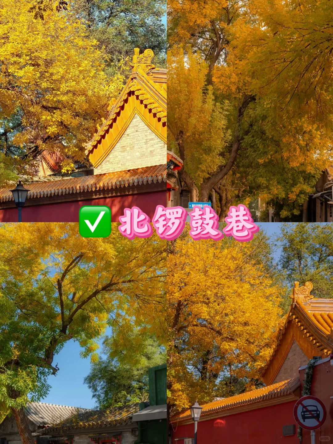 北京九大赏秋地合集！错过还得在等一年🔥