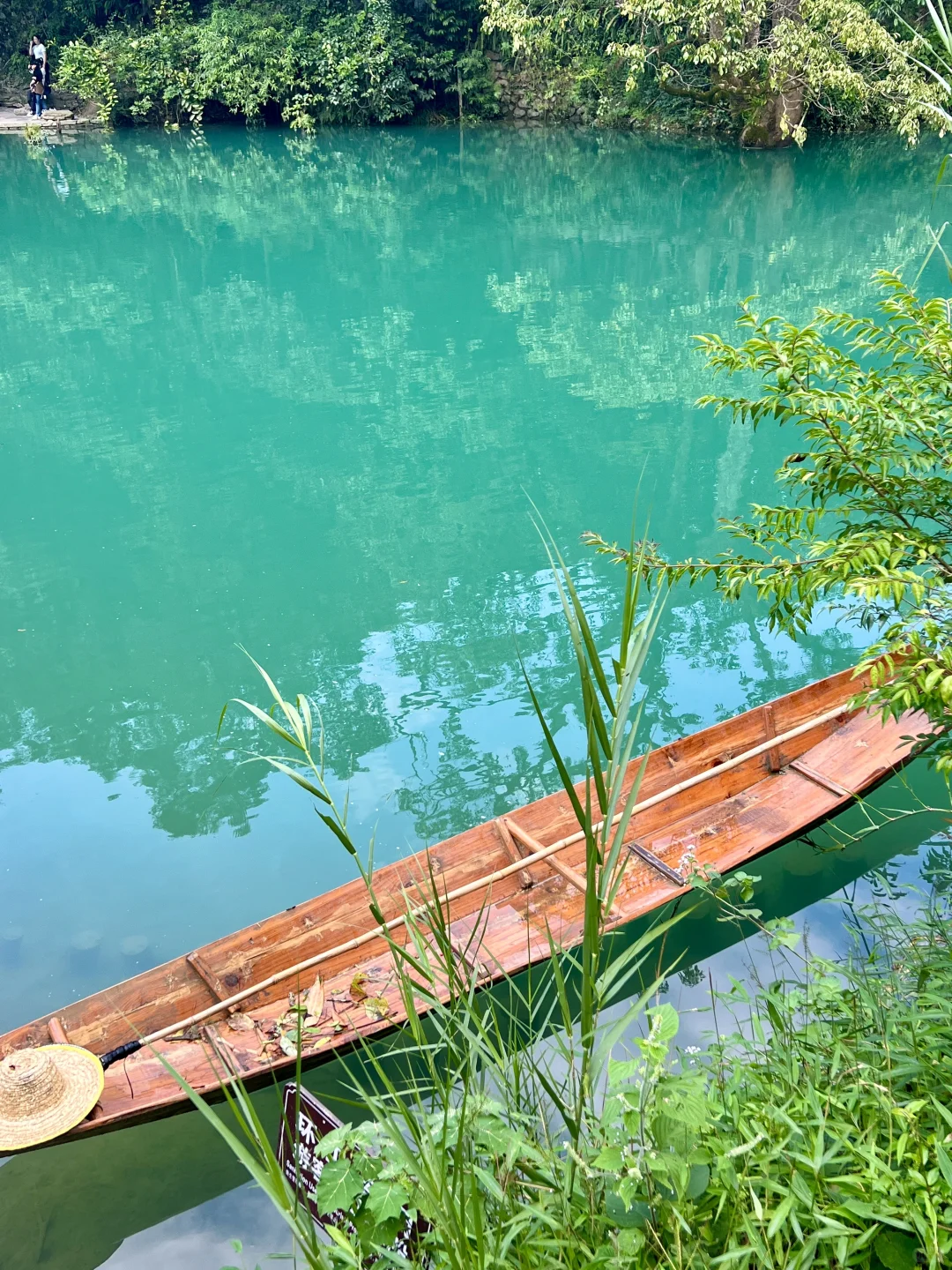 荔波小七孔｜无滤镜live图直出景色图来了🍃