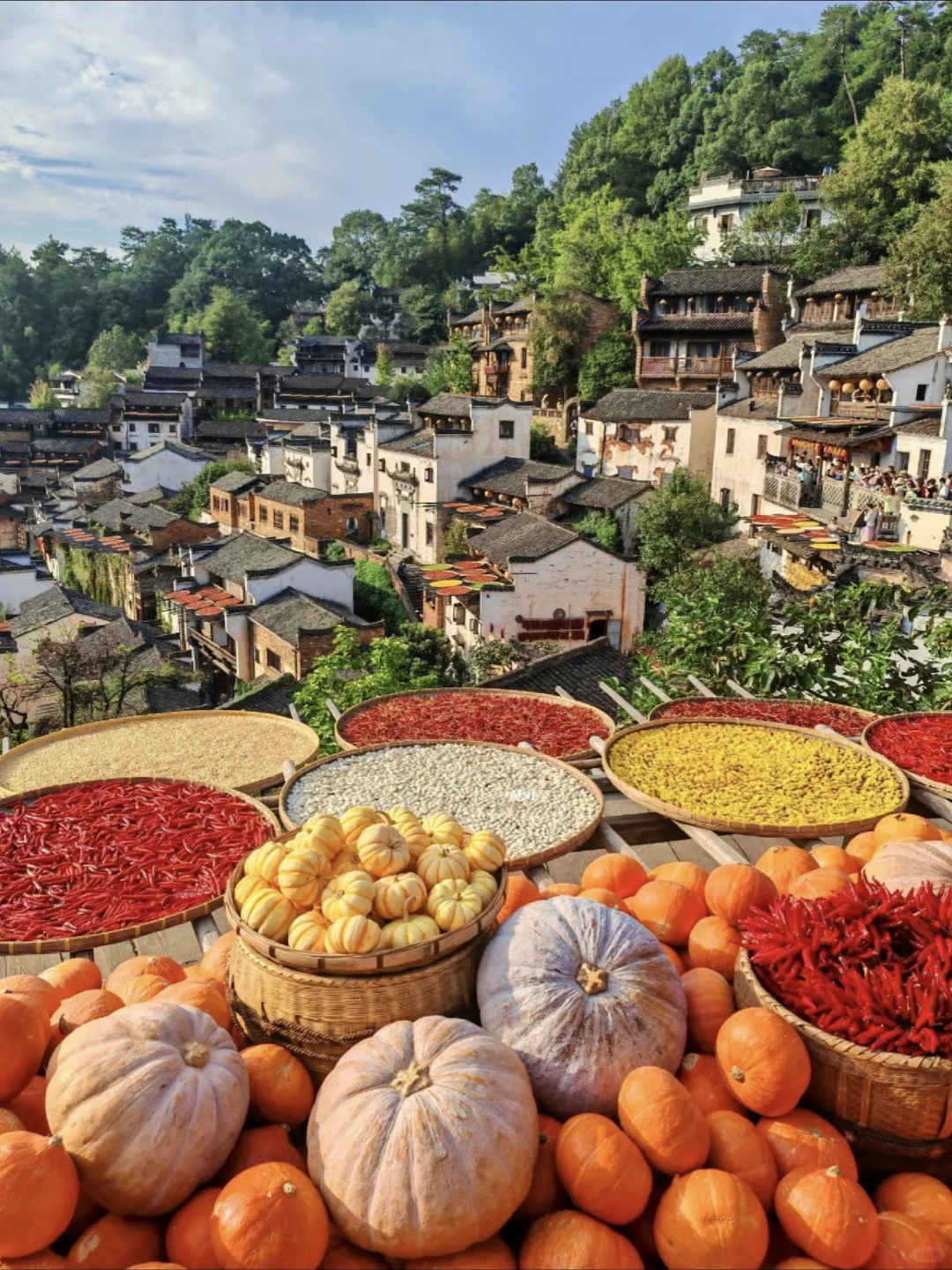 11🈷婺源赏秋|东/北线攻略~附吃住行指南