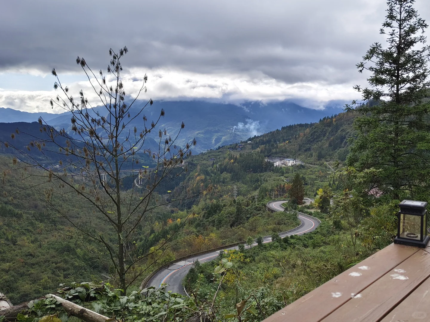 重庆2h直达金佛山山顶｜银杏叶黄了，等下雪