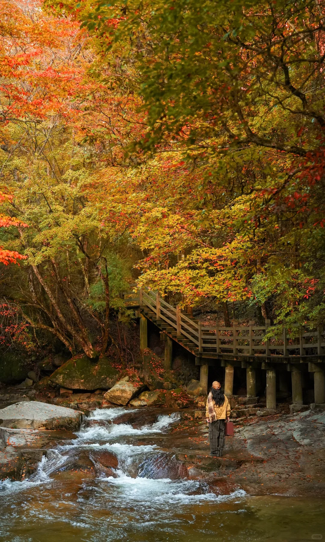 全屏｜迄今为止蕞震撼的赏秋🍁地出现了！