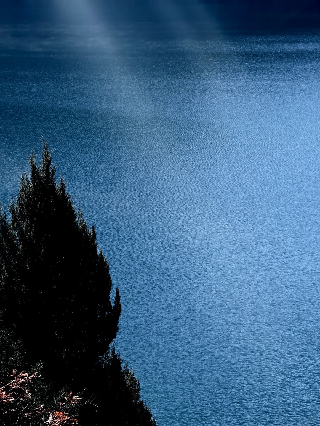 说一万次“太美了”