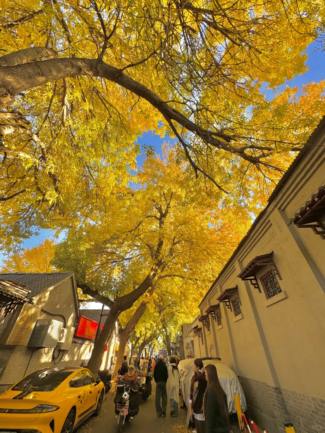 答应我，本周来北京一定走这条路线🍂11.6版