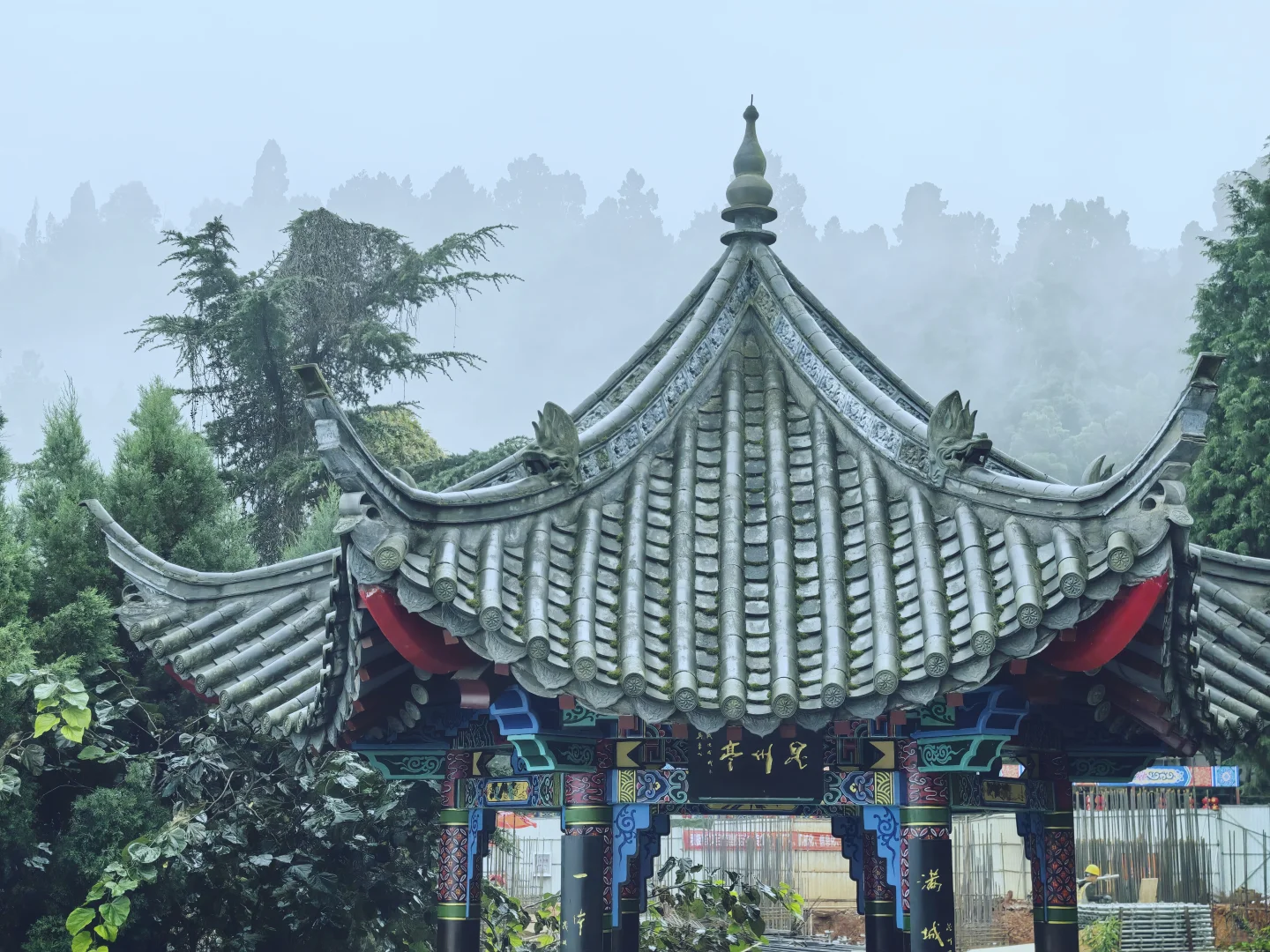 我知我喜乐，纵情跋涉”✈️