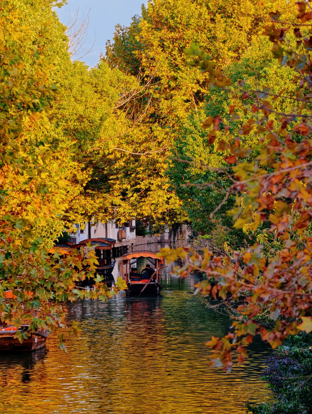 入秋的苏州，绝美水乡