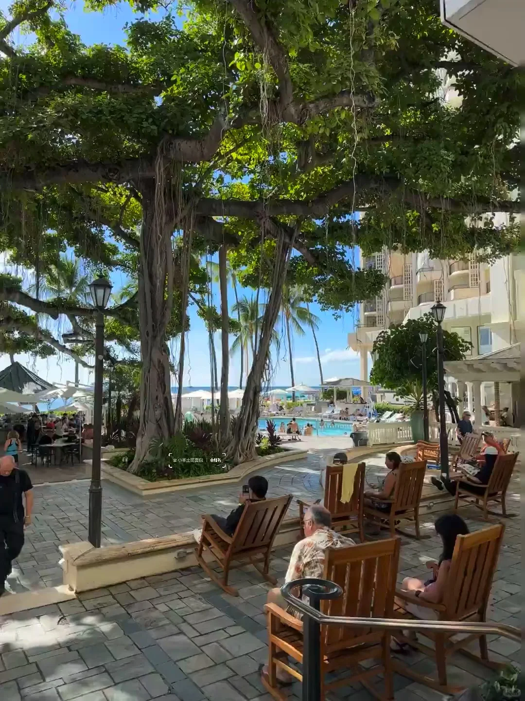 11.12📍夏威夷受罪已回，跟xhs说的不一样😅