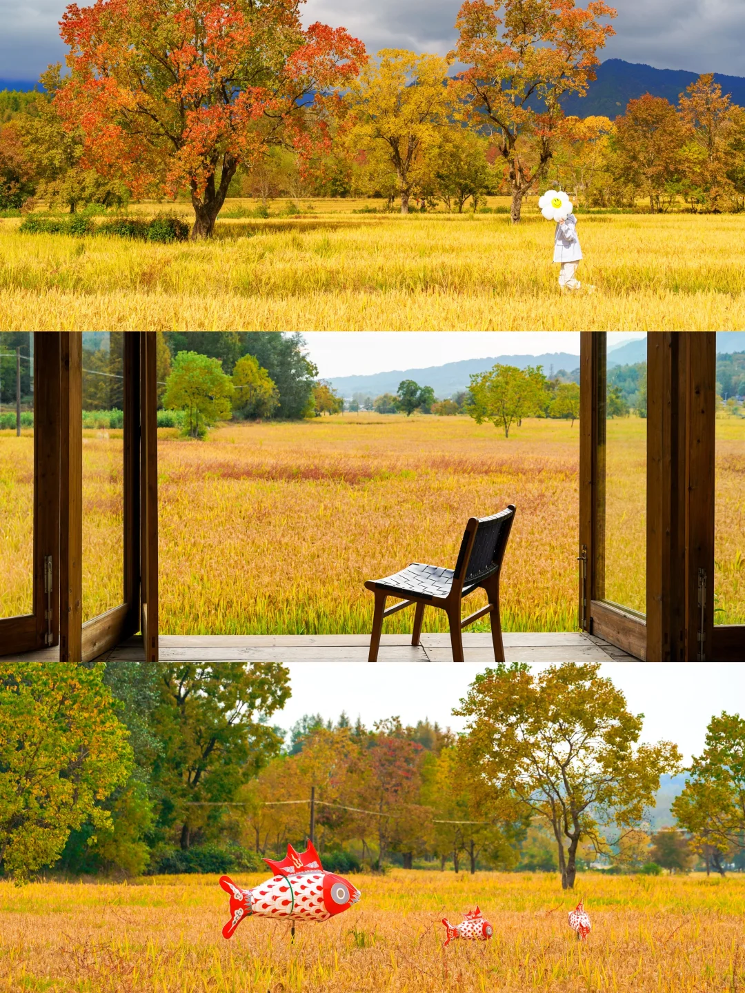 塔川实拍🍁皖南秋天可以冲啦‼️附拍照攻略