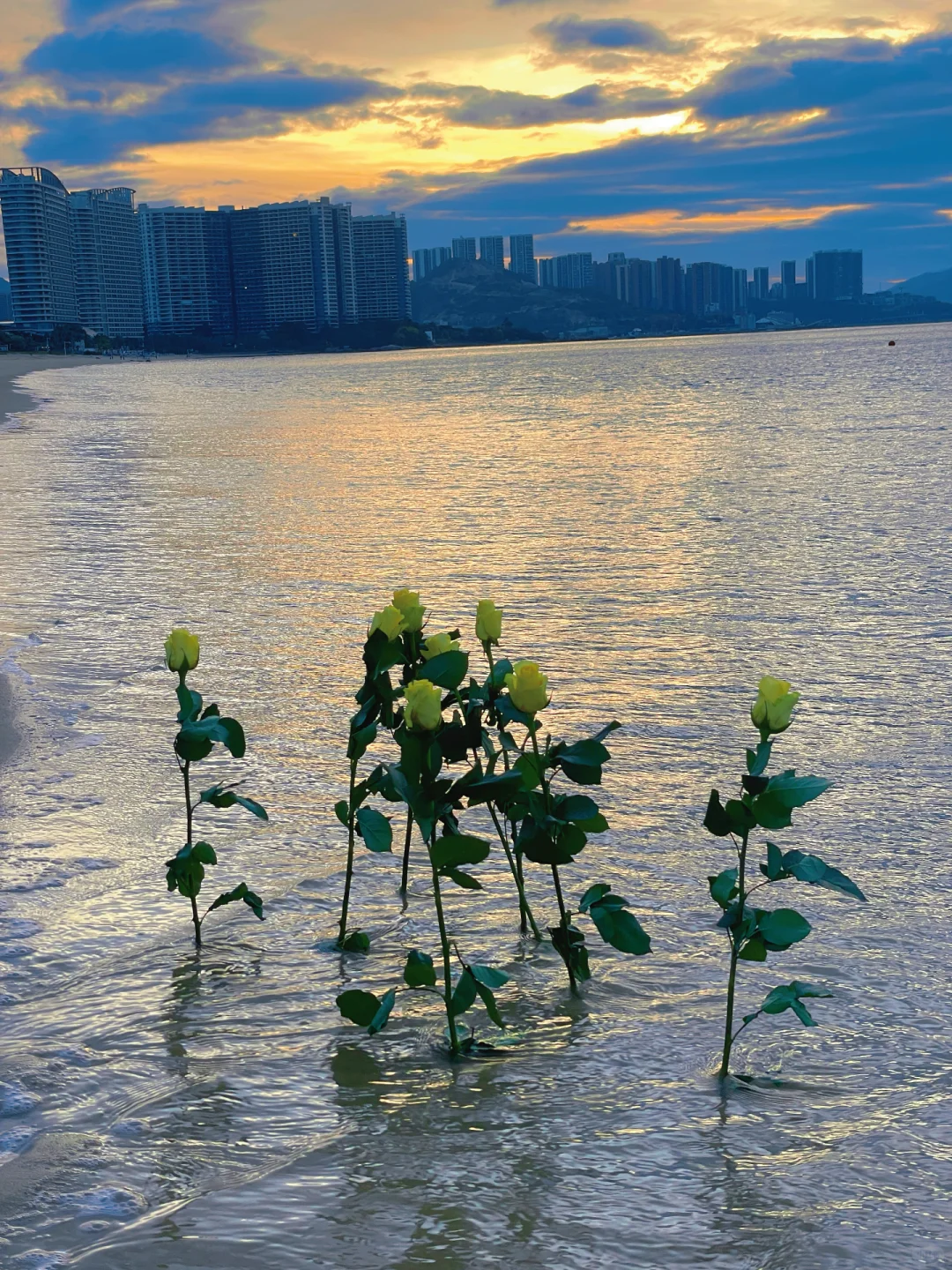 海边日出你值得拥有