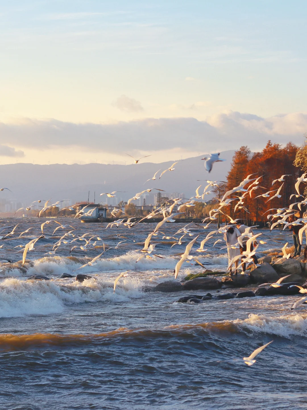 接下来的大理🍂才是冬日里的人间理想！