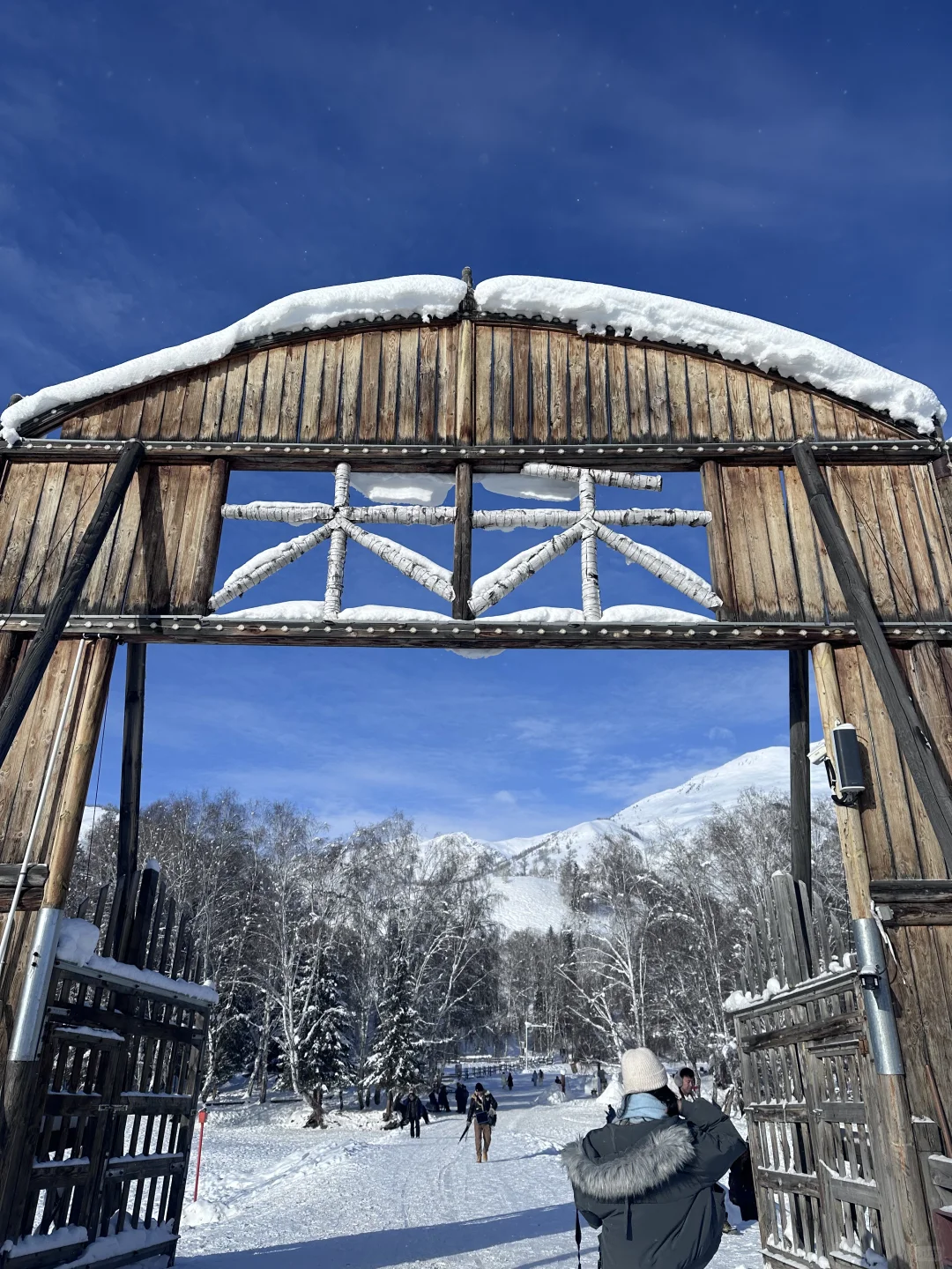 比冬天先来的是阿勒泰的回忆live