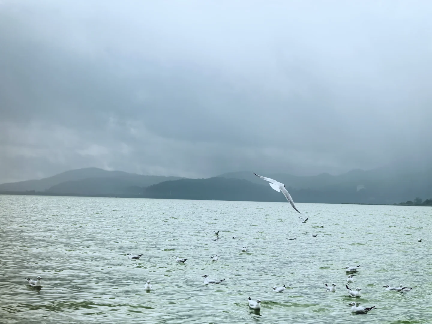 我知我喜乐，纵情跋涉”✈️