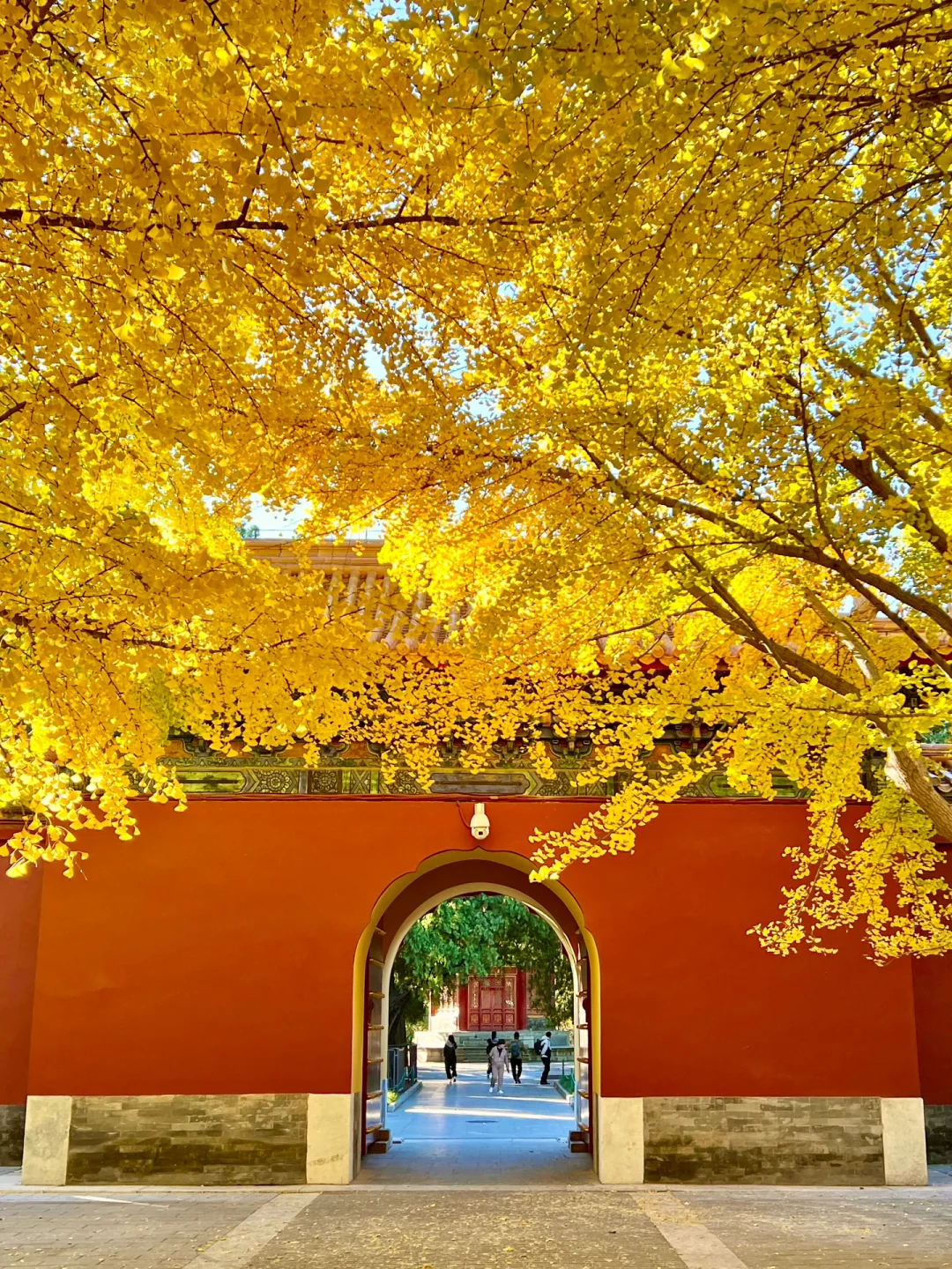 下周来北京一定要走这条赏秋路线