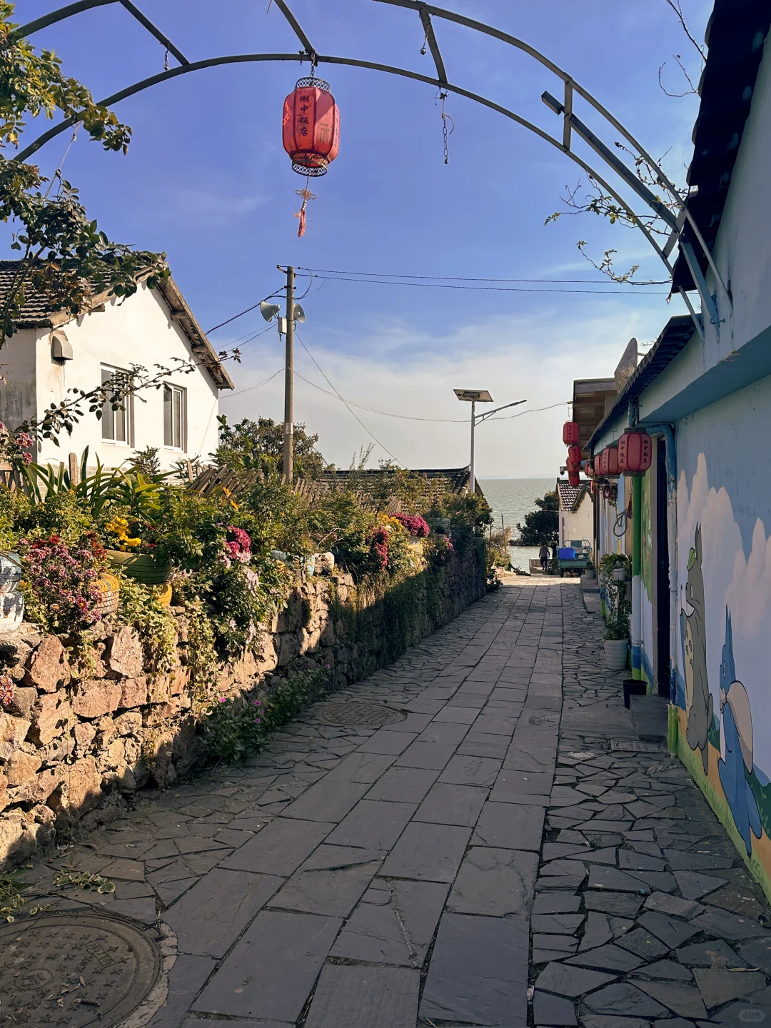 合肥姥山岛「小洱海」旅行攻略