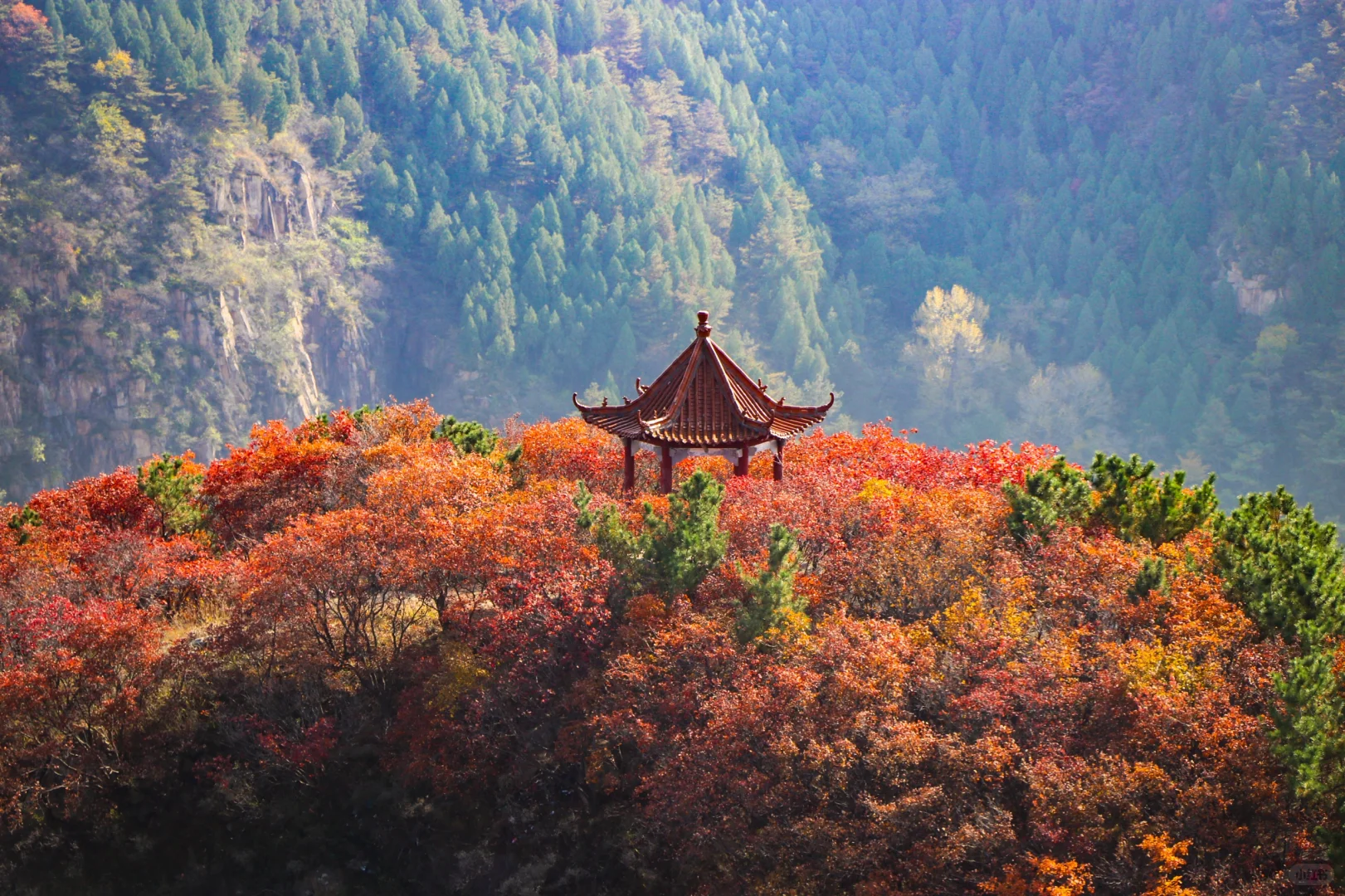 秋日绝美必去路线，济南小漓江红叶全攻略