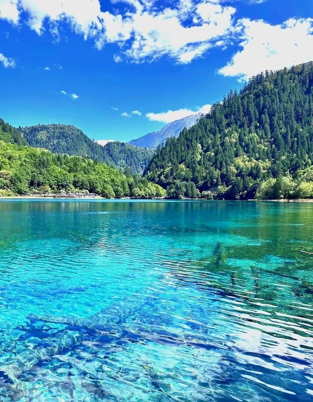 如果一生只去一次九寨沟 ，那一定是秋天！！