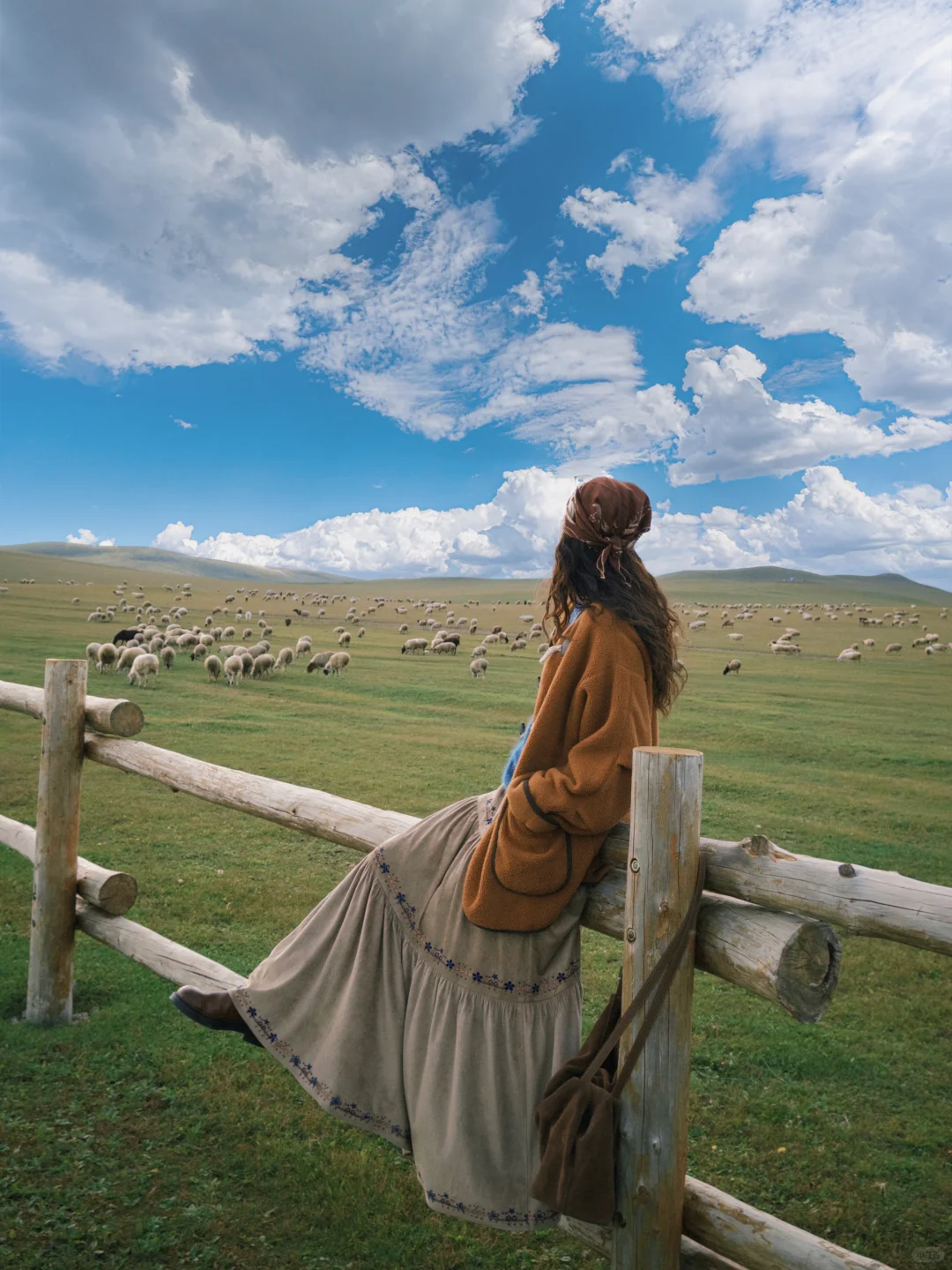 内蒙古莫日格勒河｜原来秋天能有这么多颜色