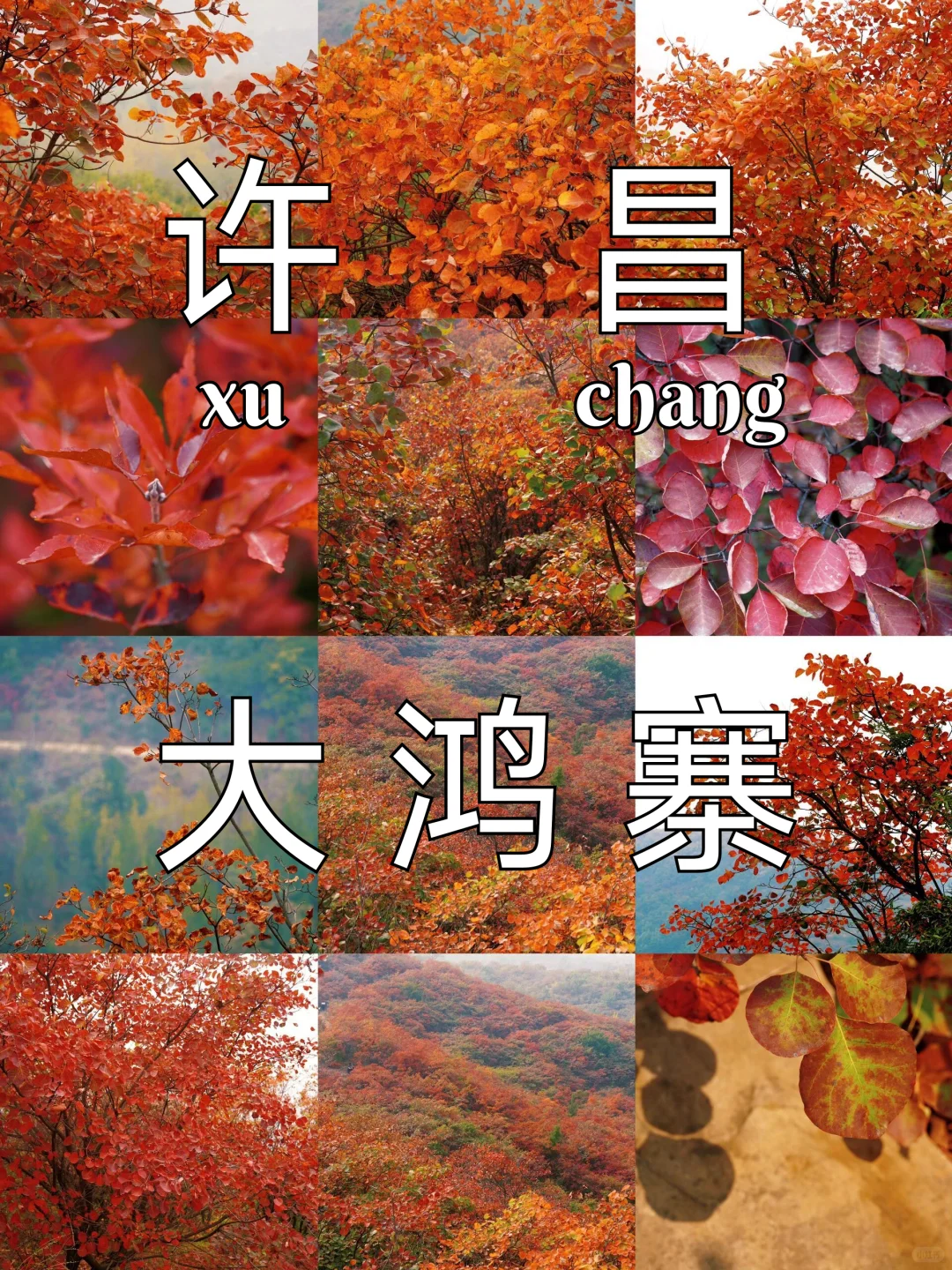 🍁许昌大鸿寨红叶暴击！这秋景美到失语！