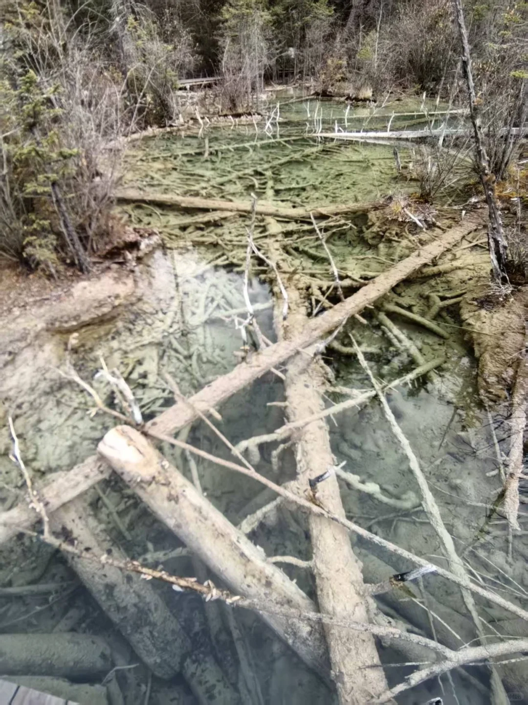 九寨沟县神仙池景区（一）