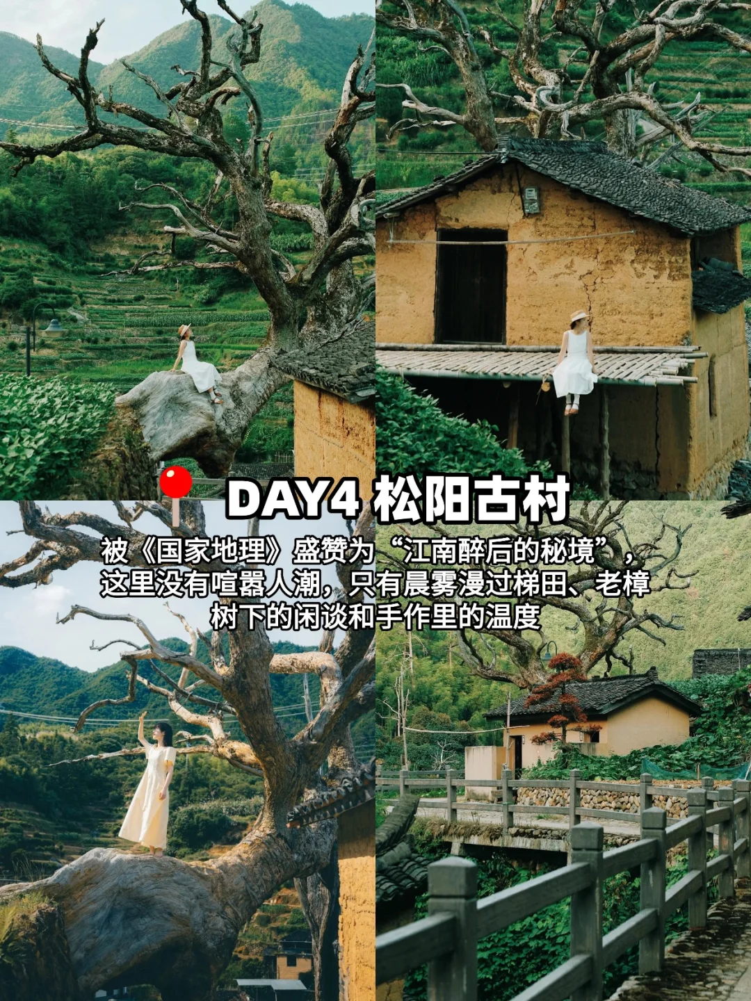 今年带娃包车畅玩的宝藏丽水❗好怕他火🔥