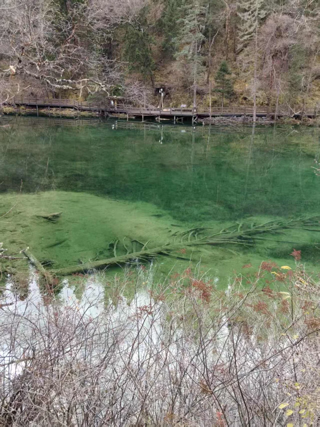 九寨沟县神仙池景区（二）
