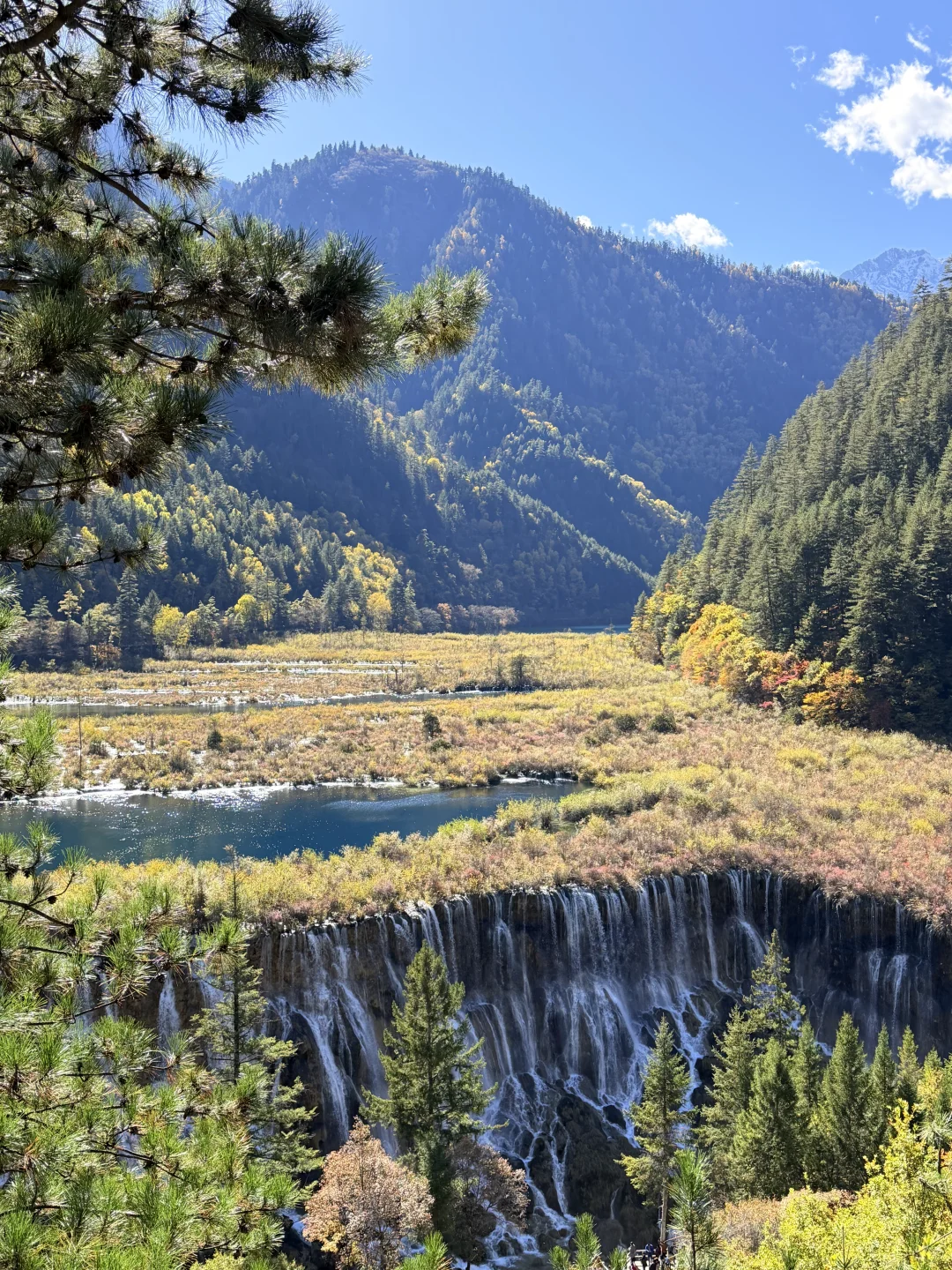 2025九寨沟,彩林最后的盛宴,明年再见👋🏻