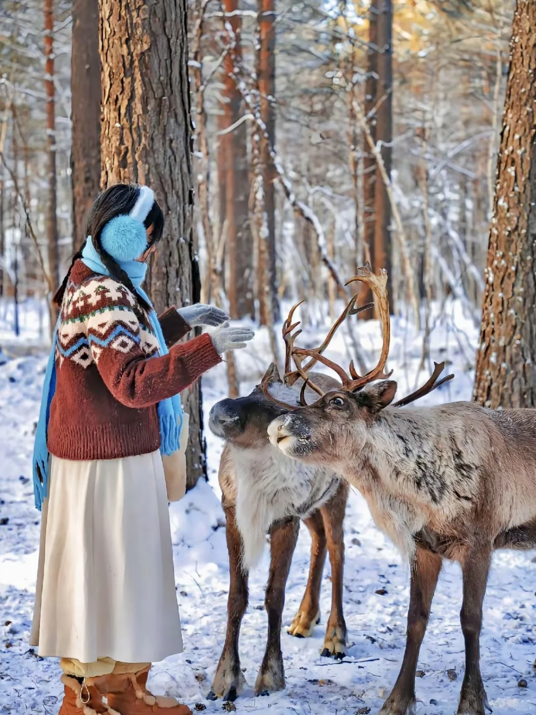 人生建议，一定要在11-2月去漠河看一次极光
