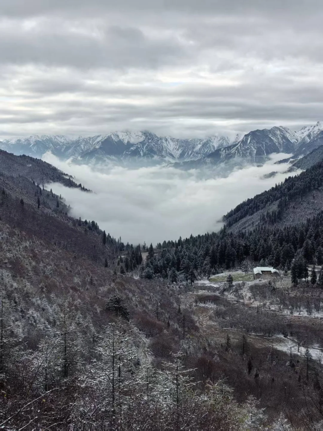 九寨沟县神仙池景区(五)