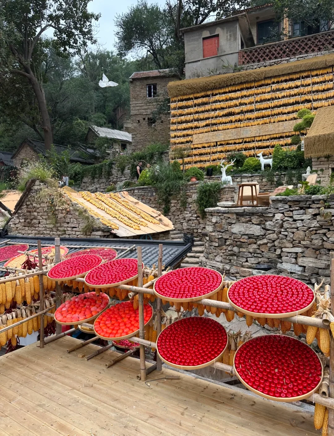 淄博 | 山东“小婺源”的秋天🍂🍁