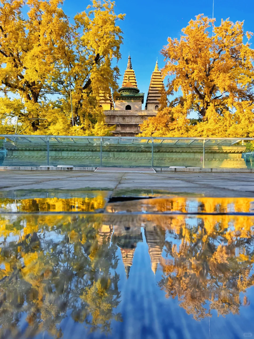 为了这18张图奔赴北平的秋天!📍附位置