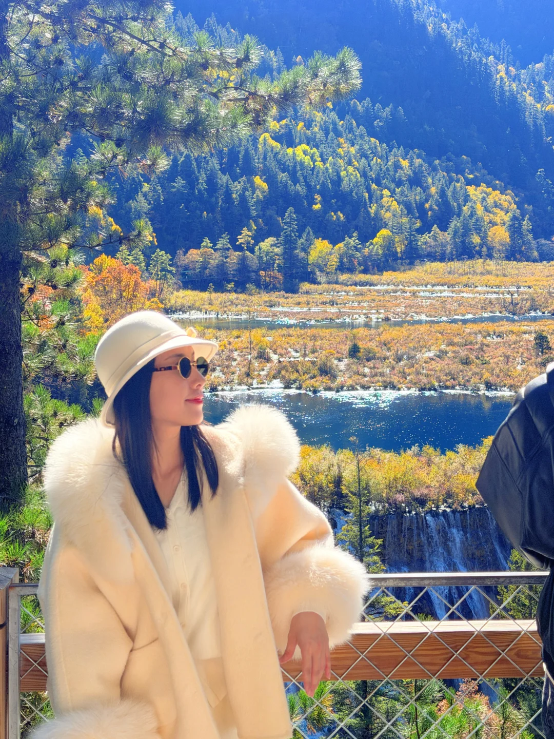 2025九寨沟,彩林最后的盛宴,明年再见👋🏻