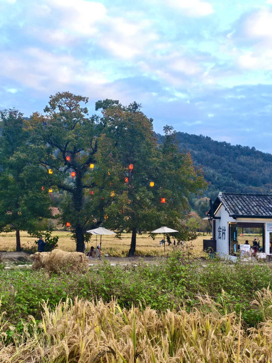 塔川的秋色美翻天～手机原图直出