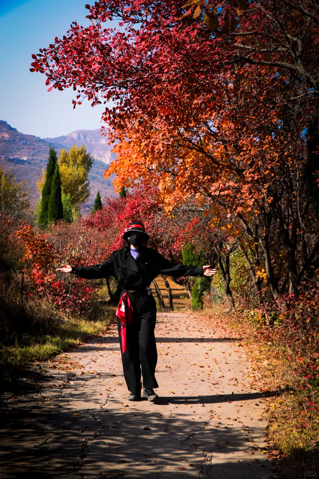 秋日绝美必去路线，济南小漓江红叶全攻略