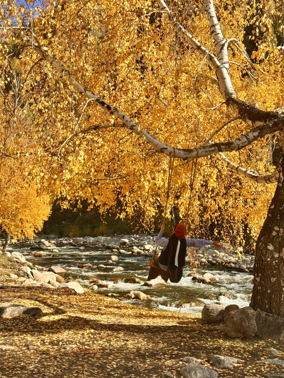 “我应该这辈子都忘不了阿勒泰的秋天了”