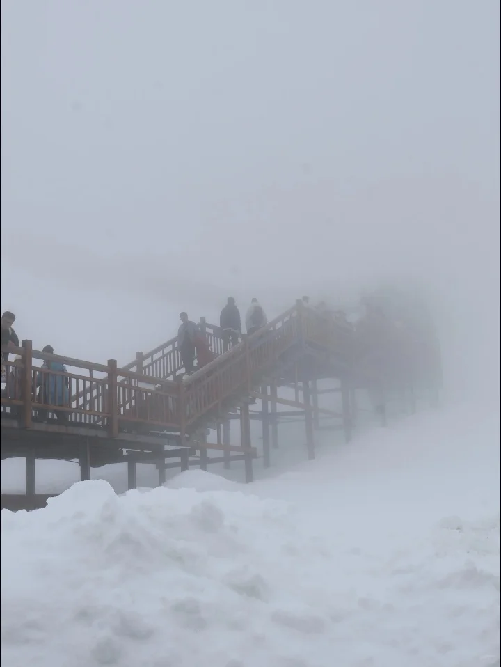 11.8📍冰川公园+云杉坪已回，说点大实话