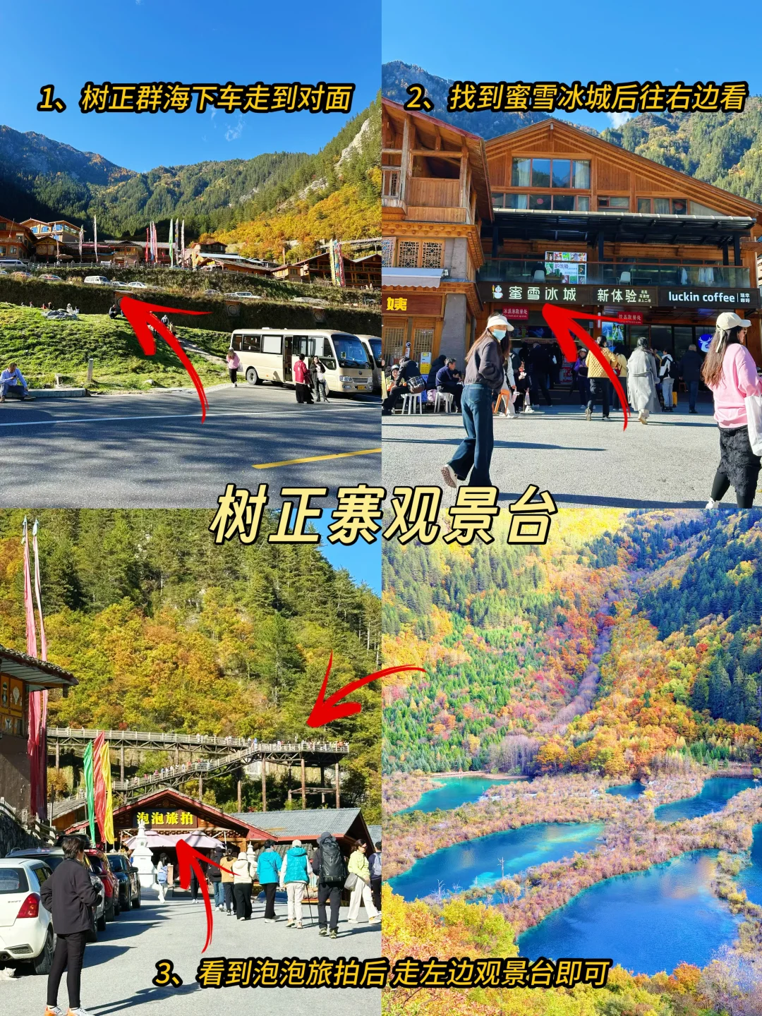 2025九寨沟,彩林最后的盛宴,明年再见👋🏻