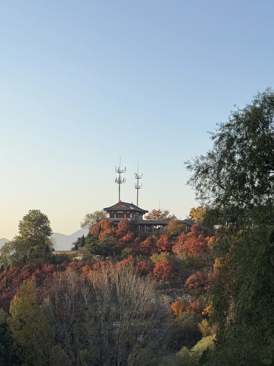 11.1🍂 济南红叶谷，来自秋天的浪漫