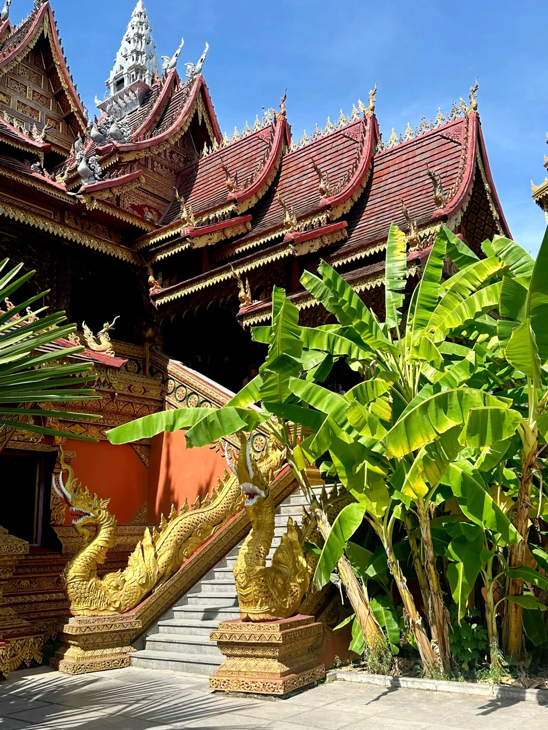 清理手机相册之西双版纳曼听公园