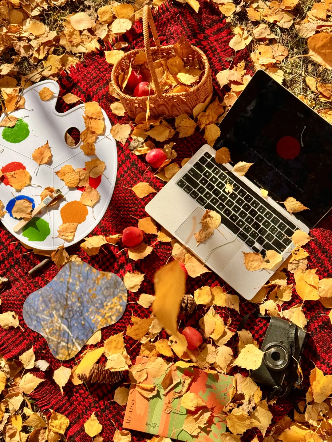 “我应该这辈子都忘不了阿勒泰的秋天了”