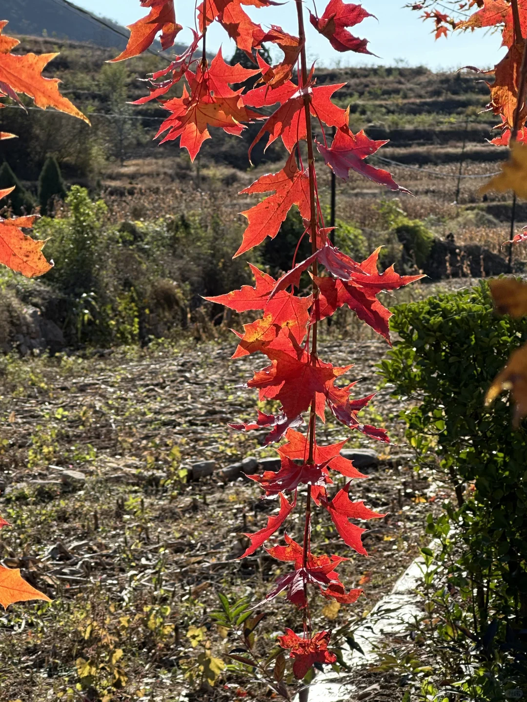 武安三门扇堵成一条线