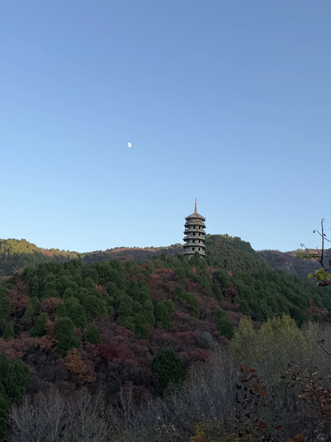 11.1🍂 济南红叶谷，来自秋天的浪漫