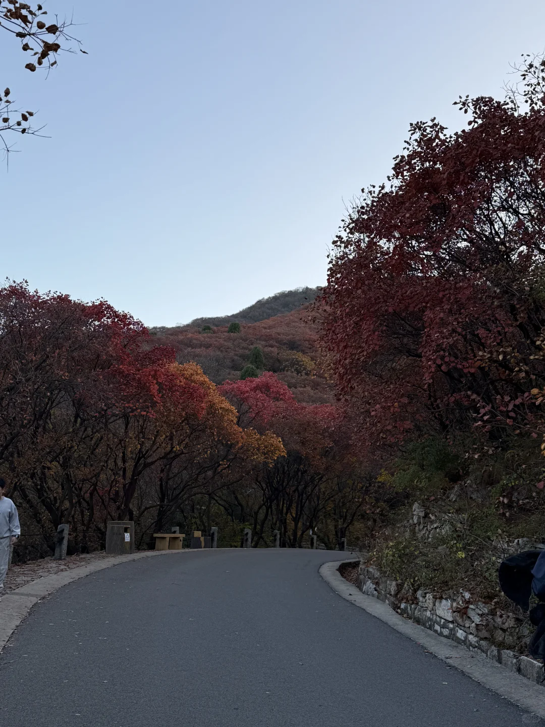 11.1🍂 济南红叶谷，来自秋天的浪漫