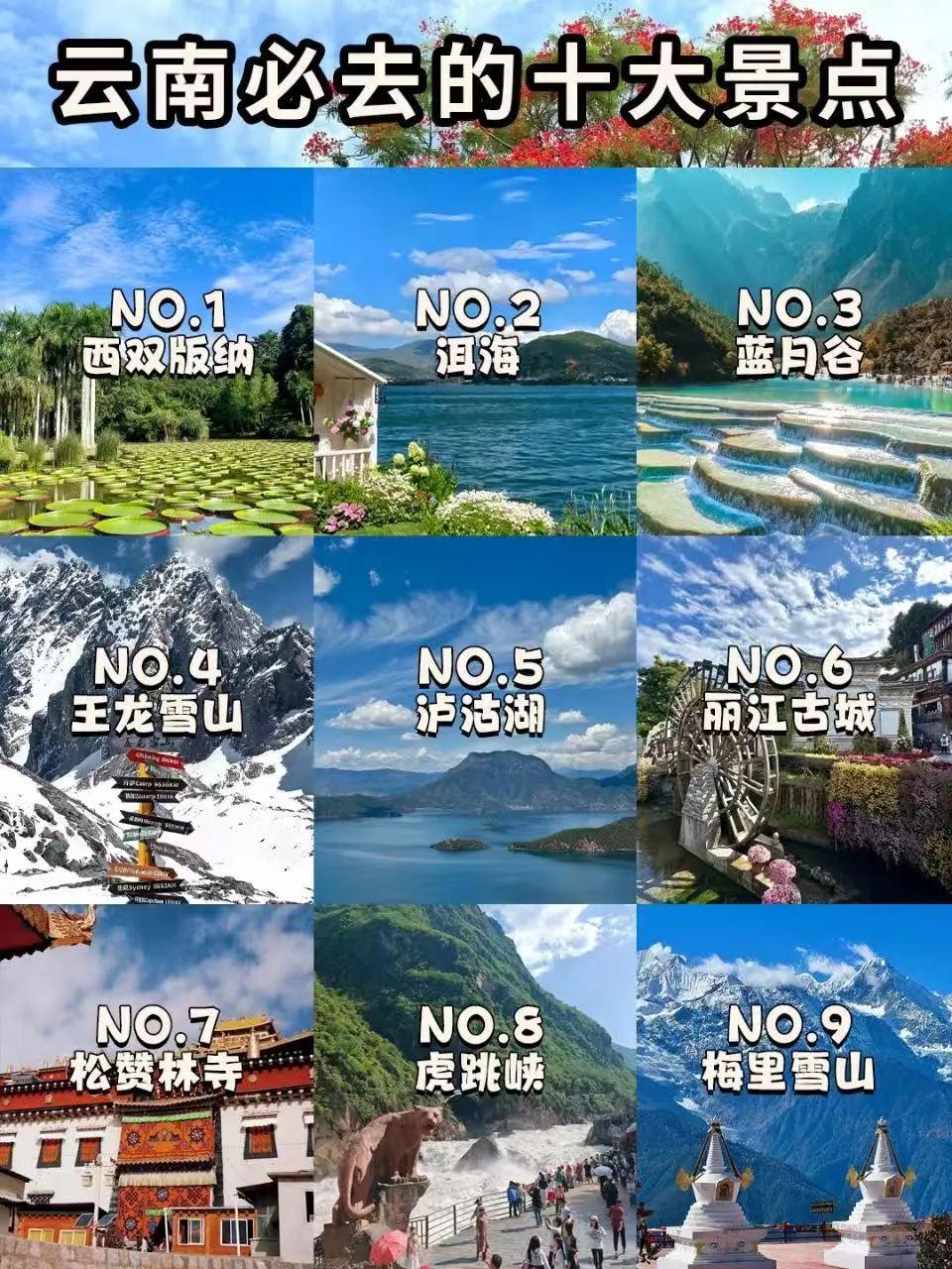 🔥挑战❗️云南这么好你都去过哪⁉️